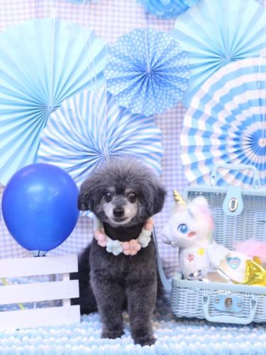 20231108ヒナちゃん